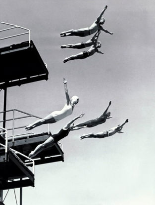 40 x 53 High Dive (MT)