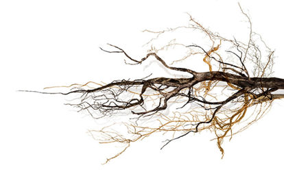 60 x 40 Solitude II (IBG)