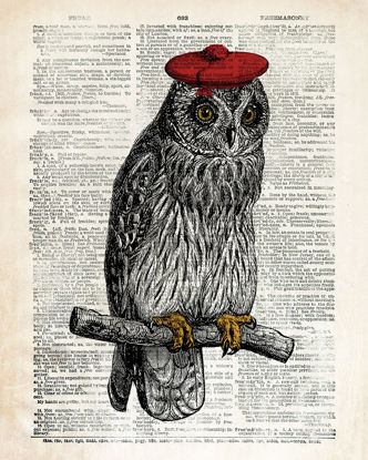 24 x 30 Hipster Owl (IBG)