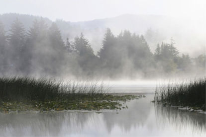 24 x 16 Foggy Dawn II (MT)
