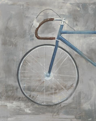30 x 38 Single Speed Bike I (IBG)