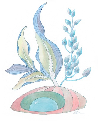 24 x 30 The Pearl Next Door (IBG)