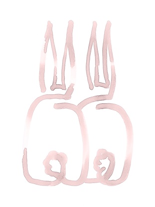 24 x 32 Our Bunny II (IBG)