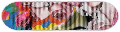 32 x 8 Her XIII (PSKT)