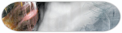 32 x 8 Her XVI (PSKT)