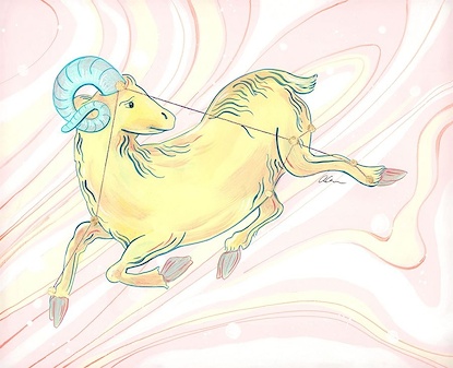 16 x 13 Aries (IBG)