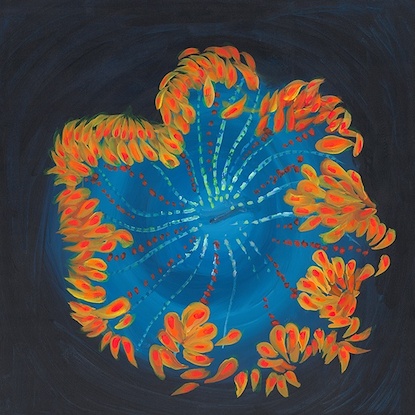 24 x 24 Aquatica IV 