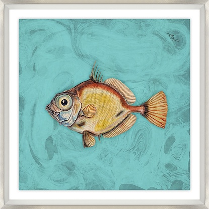 18 x 18 Phunky Fhish III (GF)