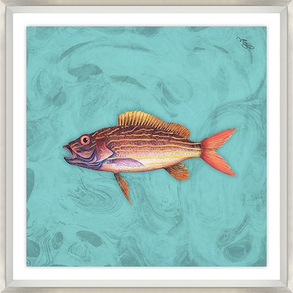 18 x 18 Phunky Fhish II (GF)
