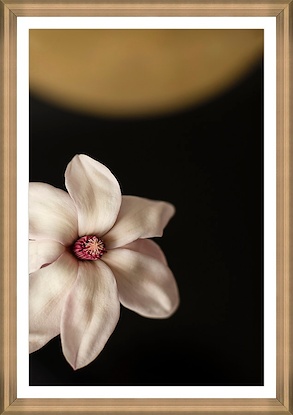 24 x 34 Where This Flower Blooms (GF)