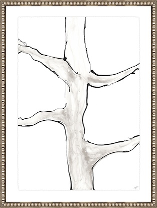 30 x 38 fico I b (GF)