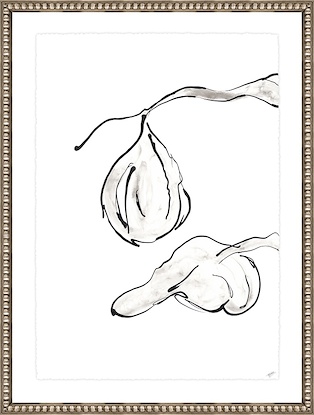 30 x 38 fico I c (GF)