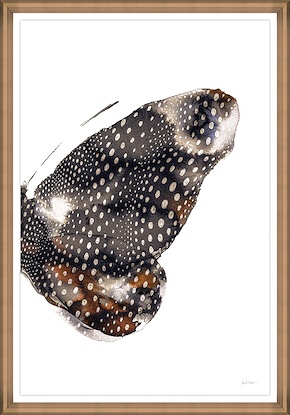 30 x 43 Butterfly IV (GF)