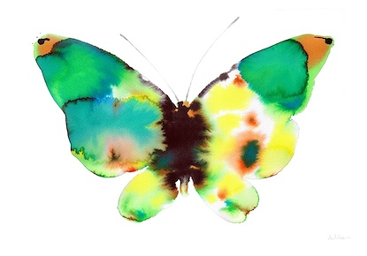 22 x 16 Butterfly II (FC)