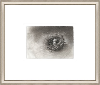 20 x 17 Delicate Wonders I (GF)