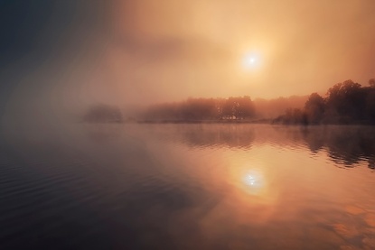 36 x 24 Golden Light (FC)