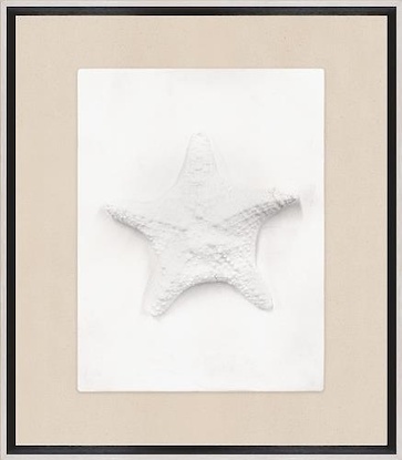 13 x 15 Sea Star (WS)