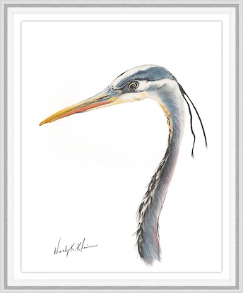 24 x 32 Pastel Heron (GF)