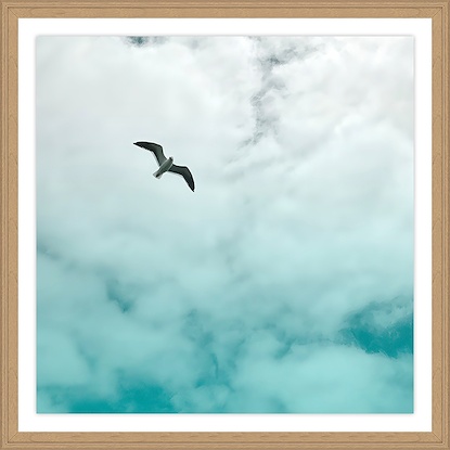 25 x 25 Cool Vacation IV (GF)
