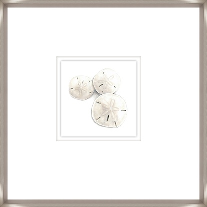 22 x 22 Sand Dollars II (GF)
