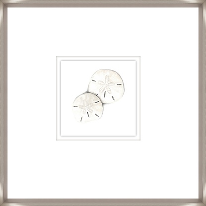 22 x 22 Sand Dollars IV (GF)