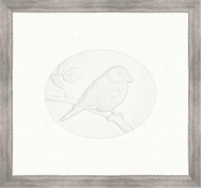 15 x 13.5 American Gold Finch (SB)