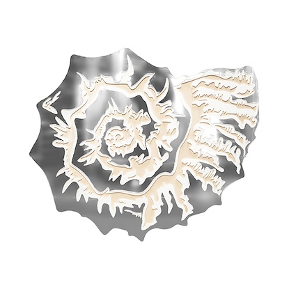 45 x 45 Coquille I (MXCO)