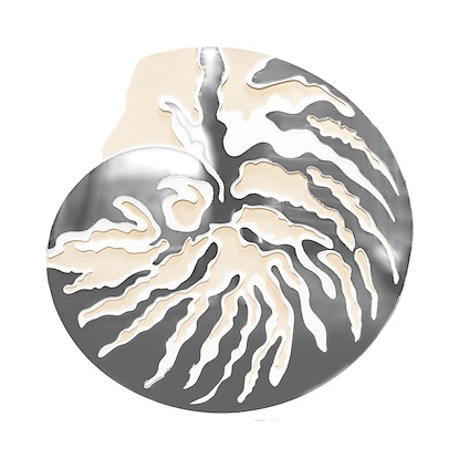45 x 45 Coquille II (MXCO)