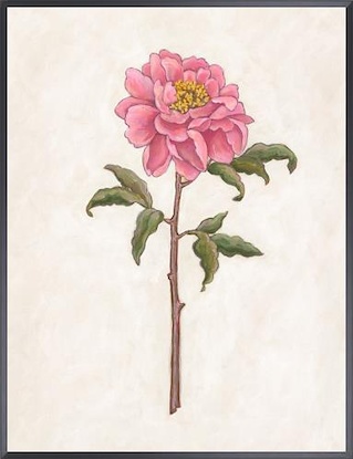 16 x 21 Rose Garden I (FC)