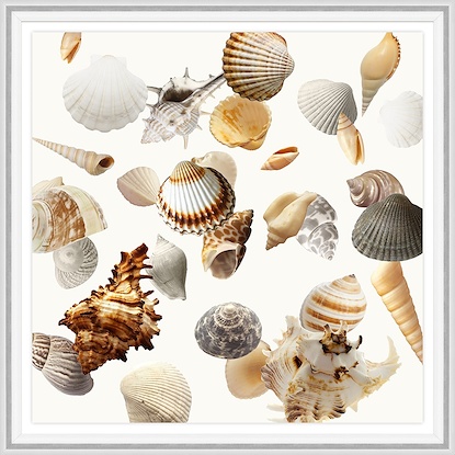 30 x 30 Ocean Treasures VI (GF)