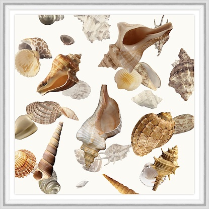 30 x 30 Ocean Treasures VII (GF)