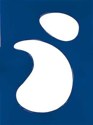 30 x 40 Organic Shape IV (W-EP-EBL)