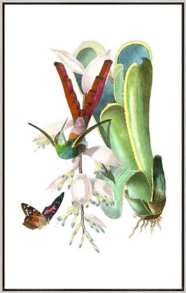 20 x 32 Hummingbird on Bromelaid II (LN)