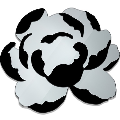 40 x 35 Peony Mirror IV (MXCO)