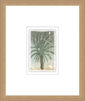16 x 19 Weathered Plants I (GF)