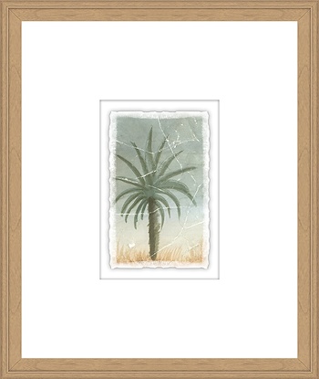 16 x 19 Weathered Plants II (GF)