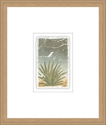16 x 19 Weathered Plants IV (GF)