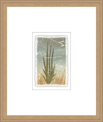 16 x 19 Weathered Plants VI (GF)