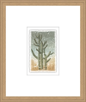 16 x 19 Weathered Plants VII (GF)