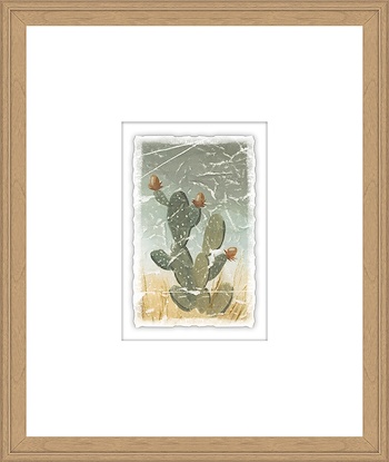 16 x 19 Weathered Plants IX (GF)