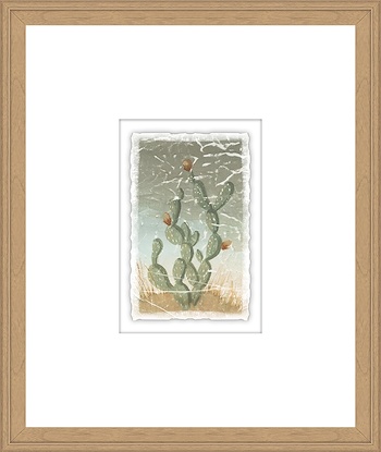 16 x 19 Weathered Plants X (GF)