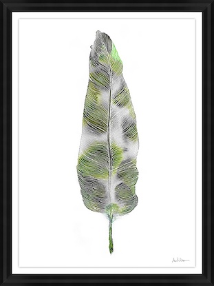 24 x 32 Le Plume Verte (GF)