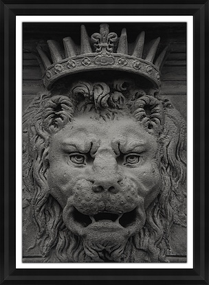 30 x 42 Pitti Palace Lion (GF)