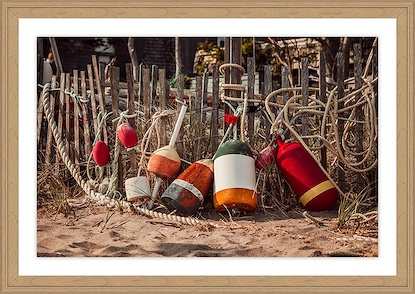 24 x 17 The Bouy Collector (GF)