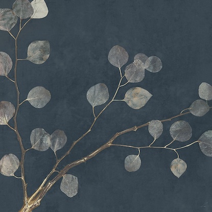 16.5 x 16.5 Midnight Eucalyptus II (FMA-LN)