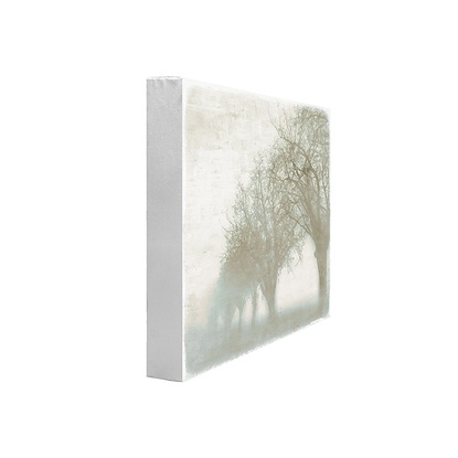 24 x 24 Mystic Morning IV (DX-GSB)