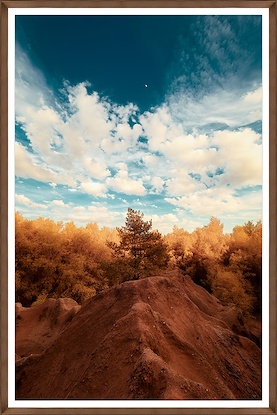 30 x 45 Golden Trees, Sunset Skies, and The Moon's Embrace (GF)