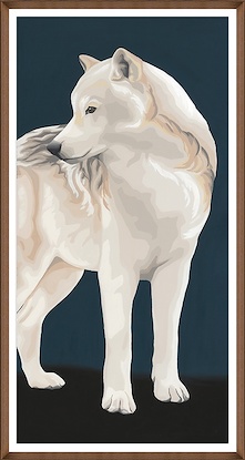 24 x 45 North American Wolf (GF)