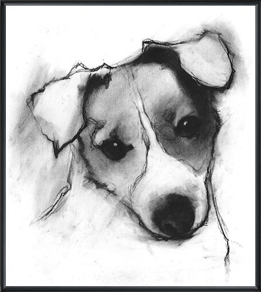 11 x 11 Study of a Dog IV (LN)(Frame: 36P1710)