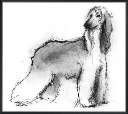 18 x 16 Study of a Dog V (LN)